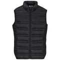 Mens Aurora Bodywarmer - Black