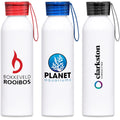 Altitude Serendipity Aluminium Water Bottle - 650ml